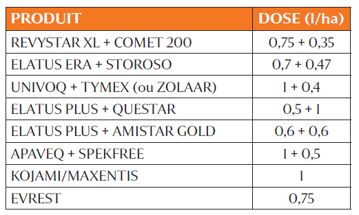 Tableau 1 : Exemple de programme fongicide à « Dernière feuille étalée »