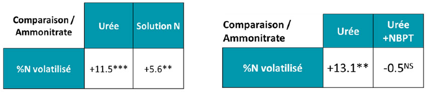 Pourcentage d’azote volatilisé en fonction des formes d’azote. Chaque forme d’azote est comparée à l’ammonitrate