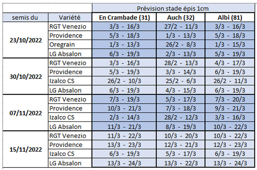 Dates prévisionnelles du stade épi 1 cm en blé tendre selon la date de semis, la variété et la station
