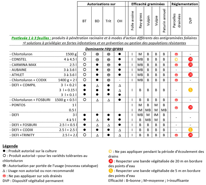 Herbicides autorisés sur céréales en postlevée 