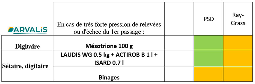 En rattrapage en postlevée sur des relevées de graminées très jeunes résistantes