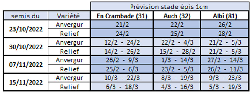 Dates prévisionnelles du stade épi 1 cm en blé dur selon la date de semis, la variété et la station