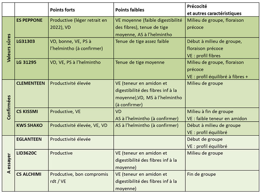 Recommandations en maïs fourrage - Série variétés demi-précoces S2