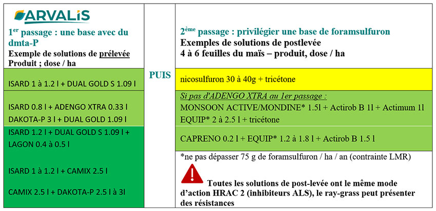 Tableau 3 : Exemple de solutions pour lutter contre le ray-grass en programme en deux passages, prélevée + postlevée précoce