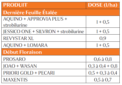 Tableau 4 : Exemple de programme fongicide avec une pression moyenne en septoriose et rouilles