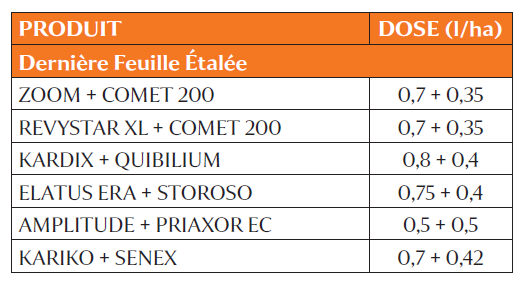 Tableau 8 : Exemple de programme fongicide avec un risque rouille brune dominant et un risque septoriose modéré (nuisibilité 15 q/ha)