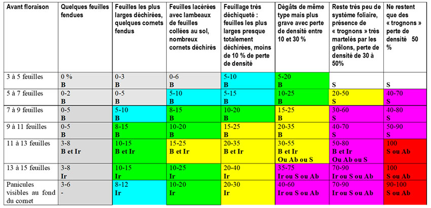 Tableau 1 : Estimations de l’impact de la grêle (en pourcentage des pertes directes) en fonction des niveaux de dégâts et des stades du maïs, avec des pistes pour accompagner les parcelles touchées