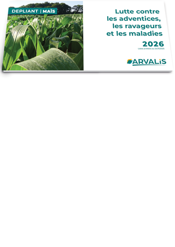 Maïs : Lutte contre les adventices, les ravageurs et les maladies 2026