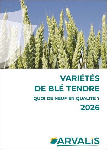 Variétés de blé tendre 2026 : quoi de neuf en qualité ?