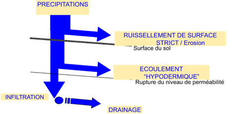 Les differents modes de circulation de l'eau dans le sol : ruissellement de surface, ecoulement hypodermique, infiltration, drainage.
