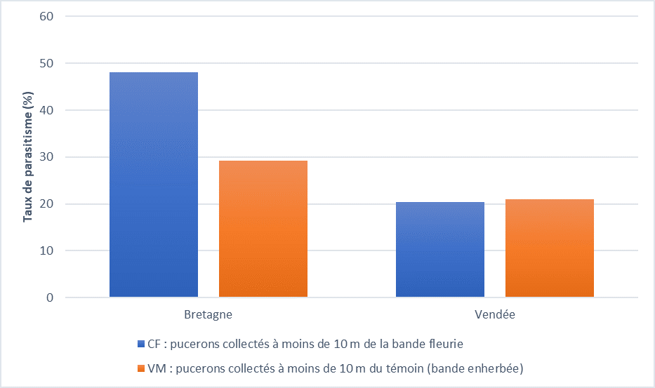 Taux de parasitisme des pucerons collectés