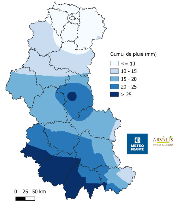 Cumul de précipitations (en mm) entre le 7 et le 15 mars 2022