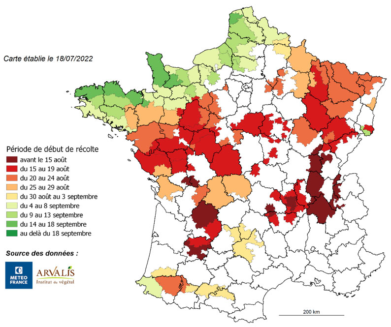 Maïs fourrage 2022, estimation de la date de début de récolte par région, médiane