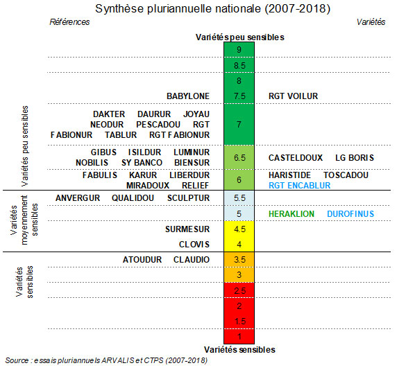 Echelles de sensibilité des variétés de blé dur