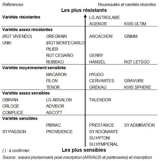 Echelles de sensibilité des variétés de blé tendre