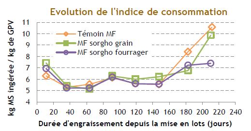 evolution de l'indice de consommation du melange sorgho maïs et maïs seul durant la periode d'engraissement des bovins
