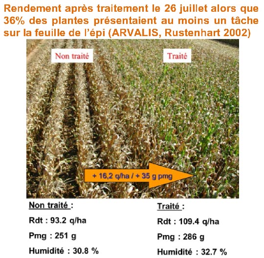 Fig3 : Gain procuré par une intervention.