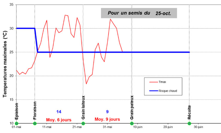 Evolution du risque d’échaudage pour un semis de blé tendre le 25 octobre 2021 – station de Auch (32)