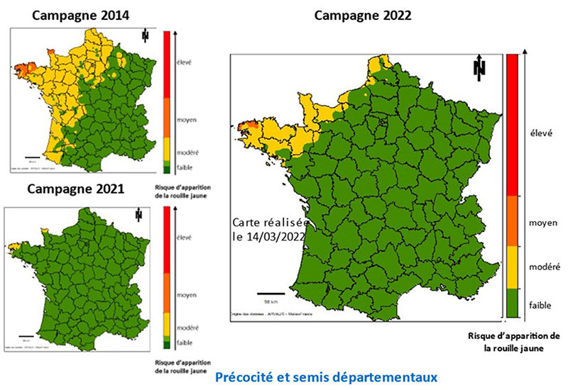 Risque d’apparition de la rouille jaune sur variété sensible