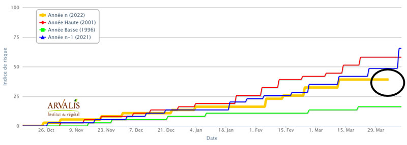 Graphique épidémiologique issu du modèle TOP (indice climatique) pour la variété Chevignon semée le 1er octobre 2021