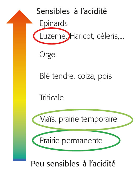 chaulage