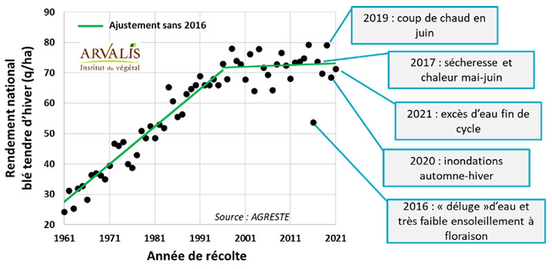 Evolution du rendement du blé tendre d’hiver en France entre 1960 et 2020
