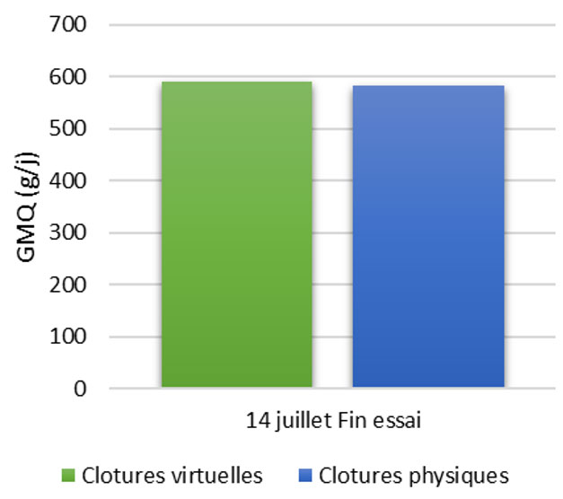 Performances de croissance à l’herbe