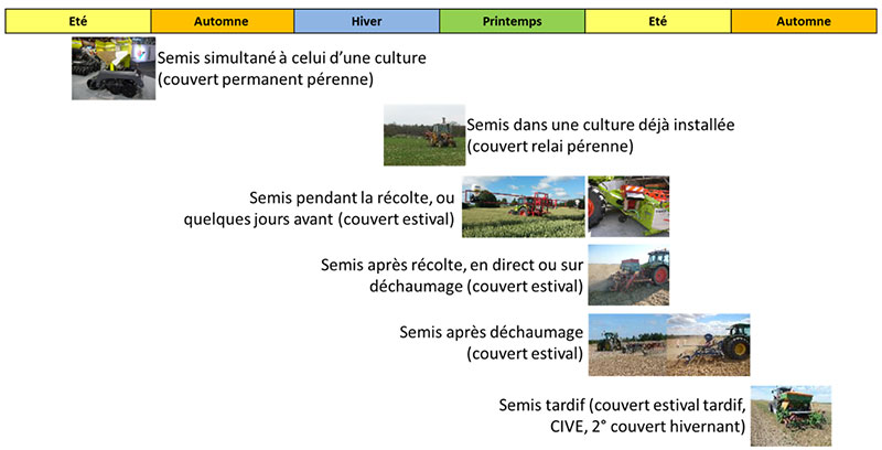 Des techniques et dates de semis très diverses pour implanter un couvert d’interculture