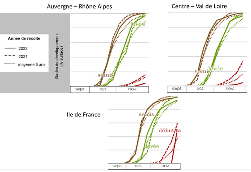 Evolution des semis de blé tendre 2021