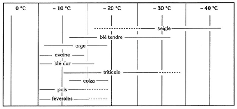 Les lins d'hiver  ???  Fig1_echelle_sensibilite8377299924320826552