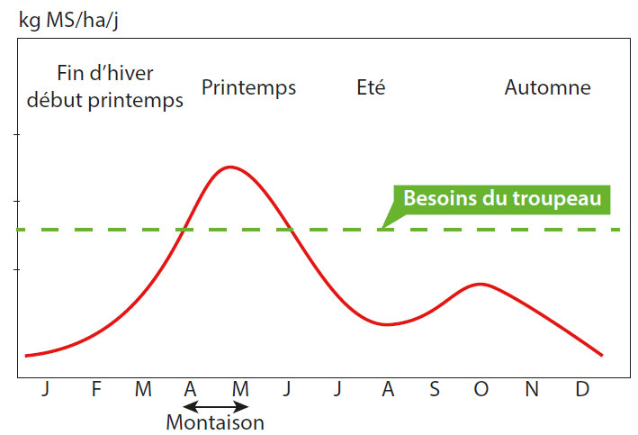 Courbe de croissance d’une graminée au cours de l’année