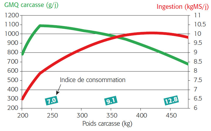 Evolution de l’ingestion, de la croissance en GMQ carcasse, et de l’indice de consommation énergétique