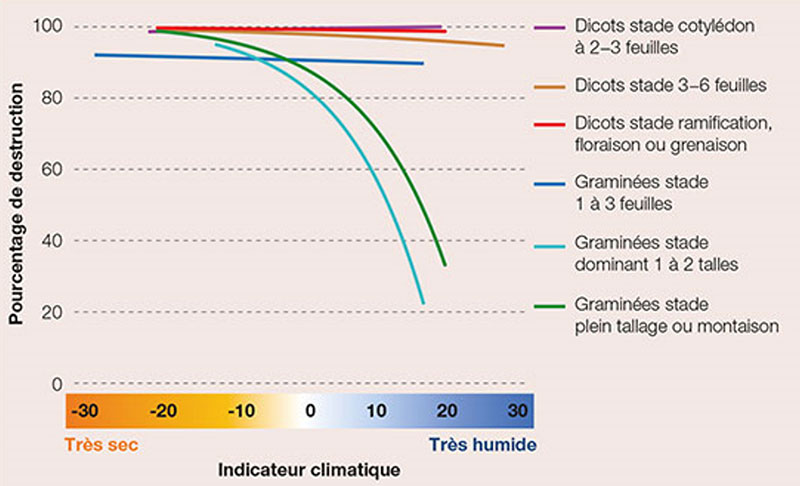 Taux de destruction des adventices ou des repousses par un travail superficiel du sol selon un indicateur de l’humidité du sol, pour deux classes d’adventices à trois stades différents