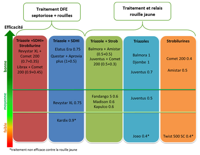 Efficacités des fongicides contre la rouille jaune