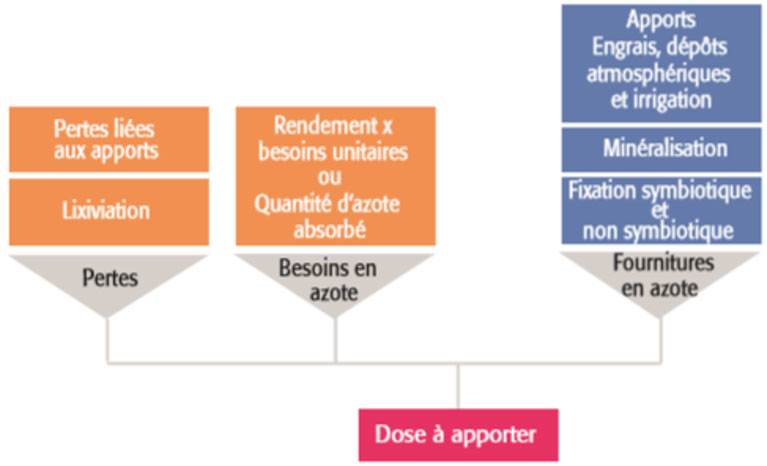 Le raisonnement de la fertilisation selon la méthode du bilan