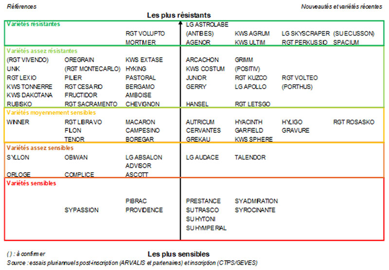 Echelle de sensibilité à la verse des variétés de blé tendre
