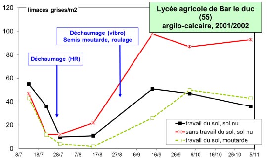 Impact du travail du sol sur les limaces grises