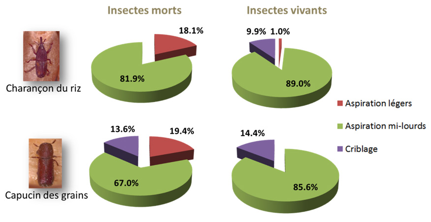 Nettoyer Les Grains Pour Lutter Contre Les Insectes Au Stockage Arvalis
