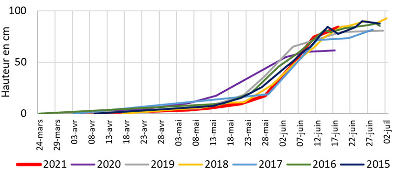 Cinétique de croissance des linières dans le secteur du Neubourg variété Arétha