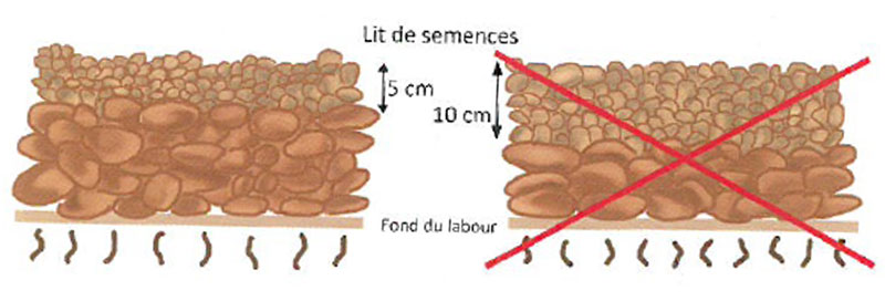 Préparer le lit de semence du lin fibre