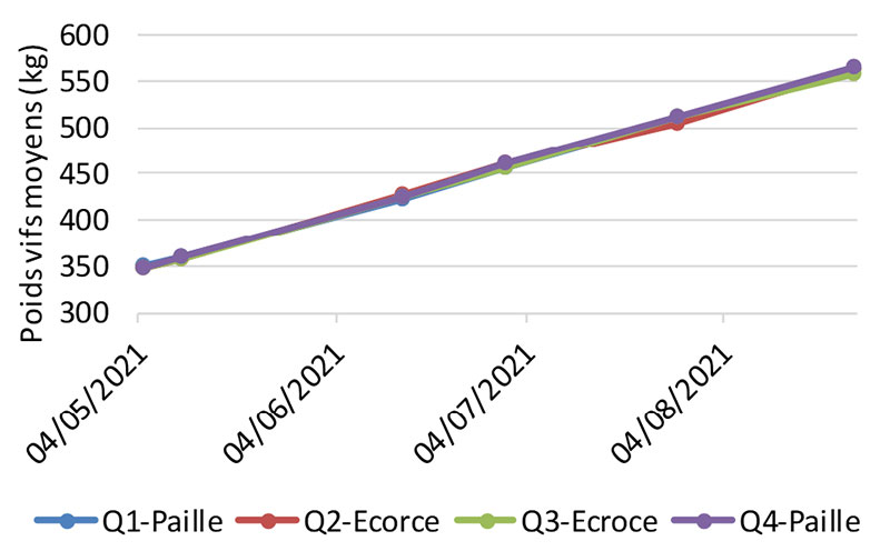 Evolution des poids vifs moyen des lots de jeunes bovins sur litière paille ou sur litière écorce – essais 2021 à la Ferme Expérimentale des Bordes (36)