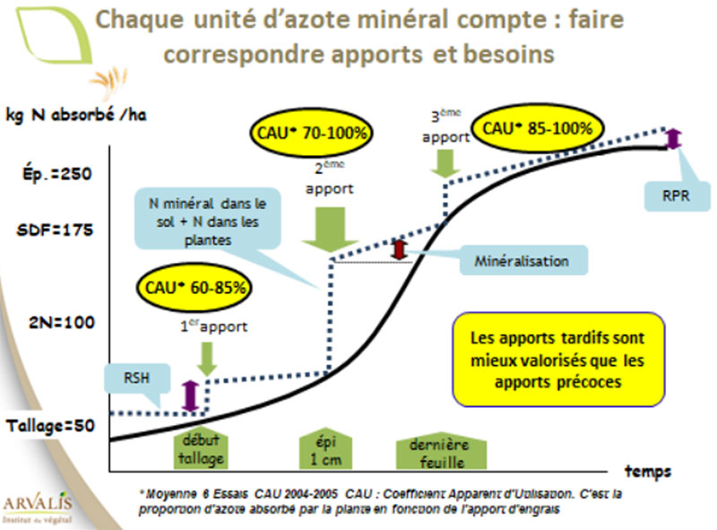 Evolution du CAU selon l’apport
