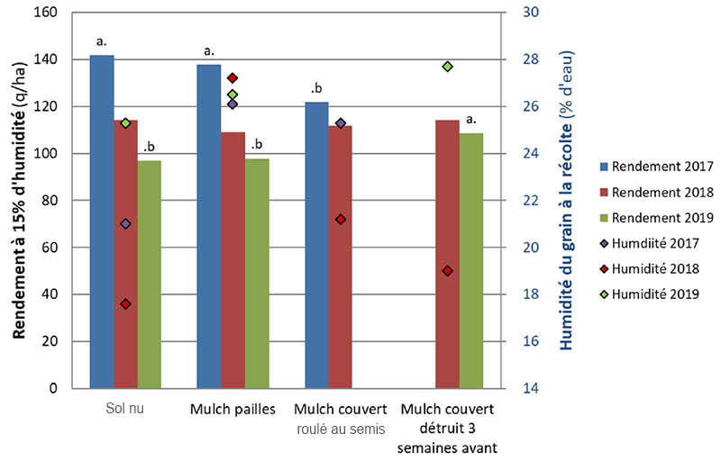 Rendement (à 15 % d’humidité du grain) et humidité du grain à la récolte du maïs, en conduite irriguée limitante