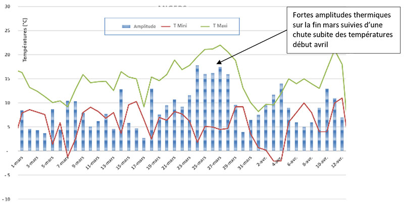 Températures minimales et maximales enregistrées entre le 1er mars et le 12 avril 2022
