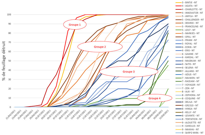 Evolution du mildiou, en % de feuillage détruit, en conduite non traitée – essai 2021