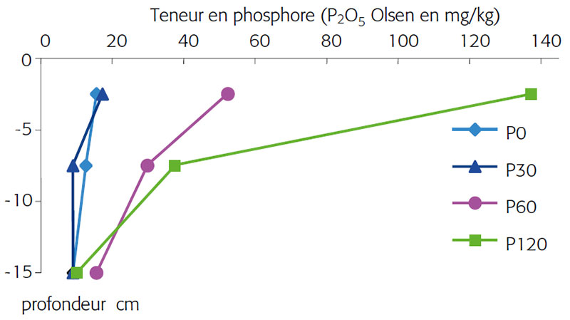 Profils de disponibilité du phosphore dans le sol sous prairie de dactyle de 9 ans, avec 4 régimes d’apport de phosphore