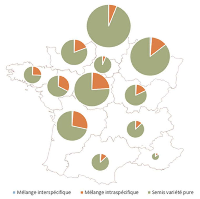 Répartition des surfaces semées en variétés pures et en mélanges