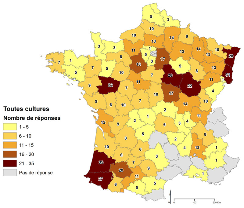 Comment se protéger des sangliers ? – Mairie de Vence