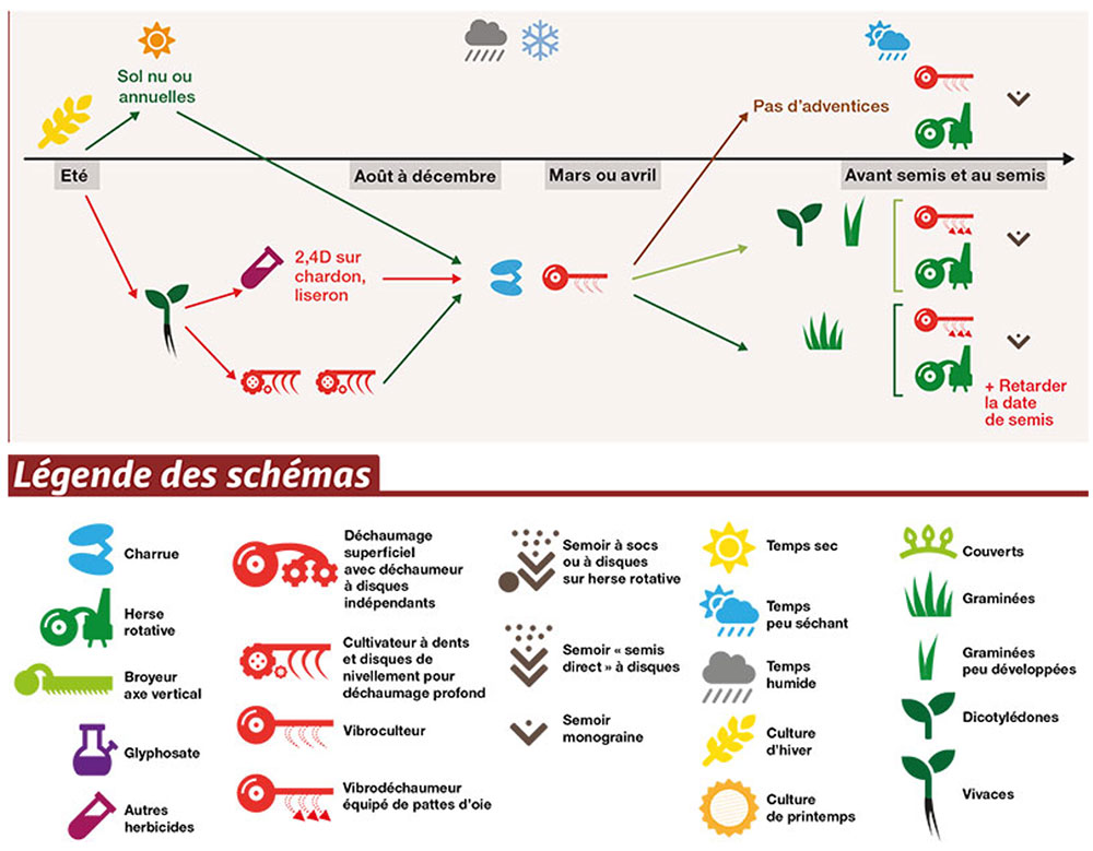 Propositions techniques de gestion de l’interculture labourée entre une céréale et un tournesol, selon la flore