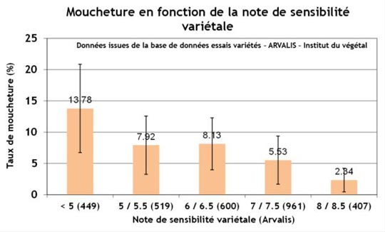 La variété est actuellement le seul moyen de lutte contre la moucheture